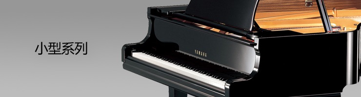 【新品上市】优德88钢琴GB1KG/GB1KFP型钢琴闪耀登场